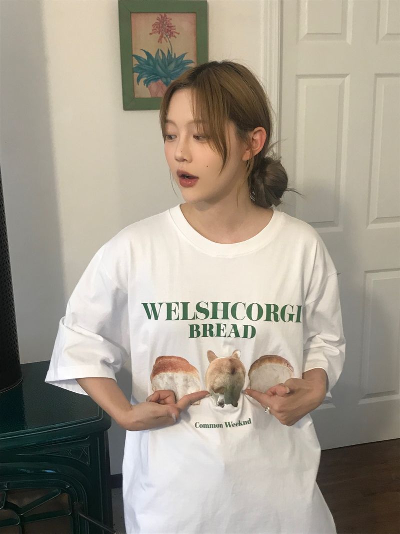 Comfortable corgi T-Shirt