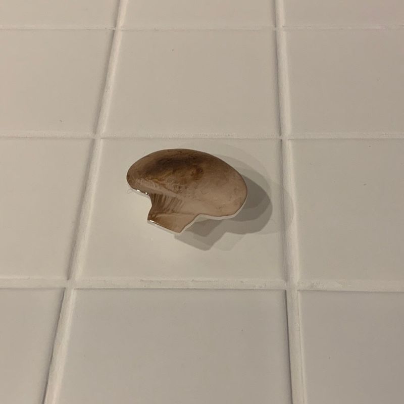 MUSHROOM GRIP TOK