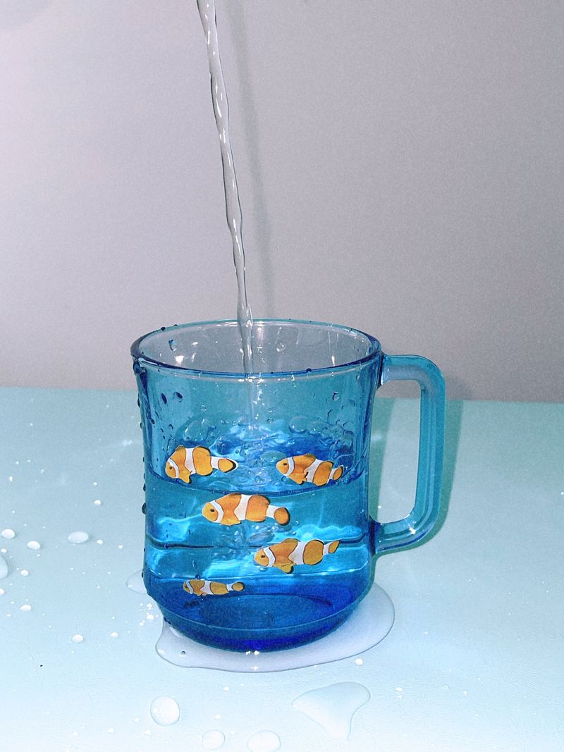 [MADE] nemo cup