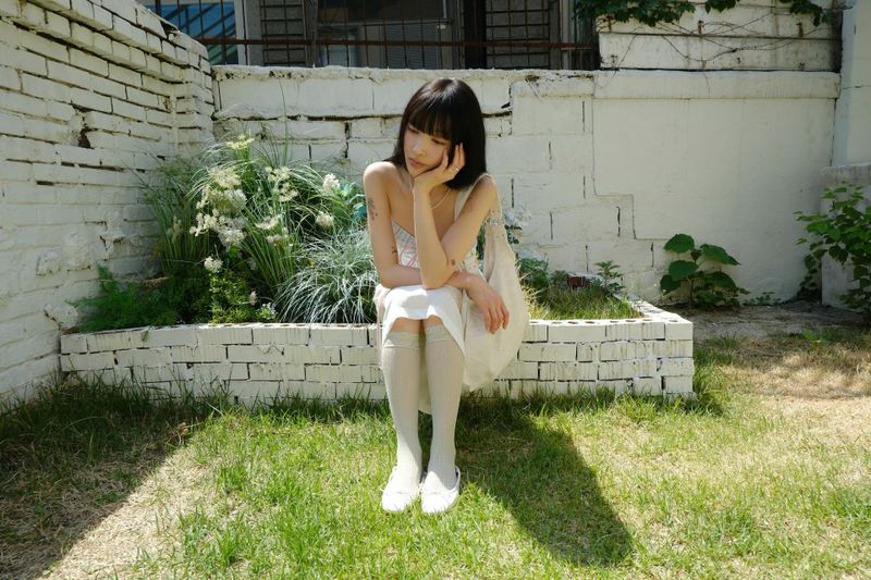 jacquard lace knee socks