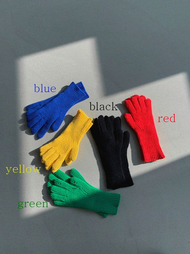 ASCLO Winter Glove (5color)