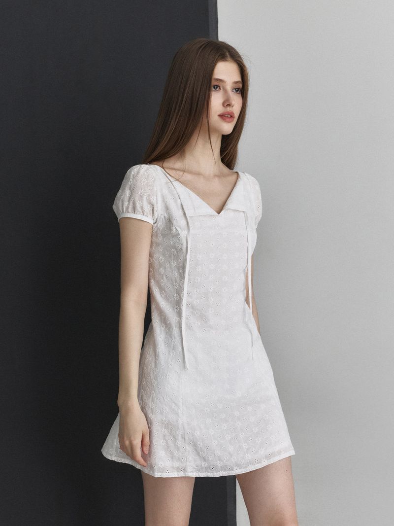 Ribbon flare dress (White)