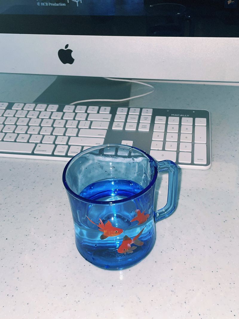 [MADE] fish cup (orange)