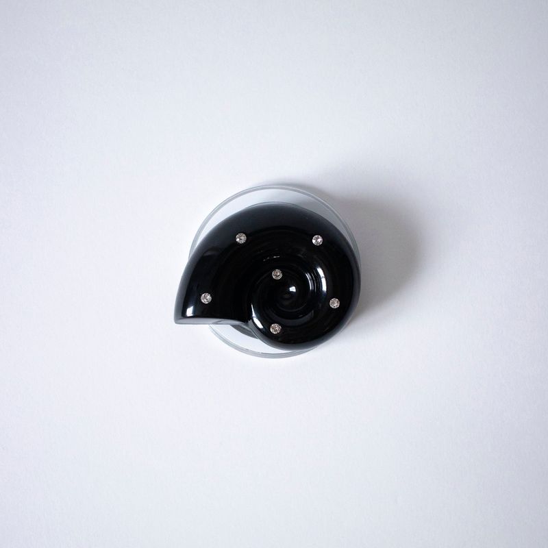 Ammonite Tok MagSafe_ Black