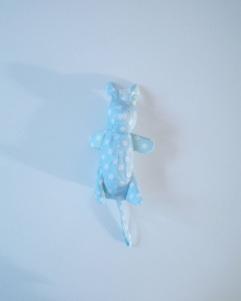 bunny doll umbrella (2color)