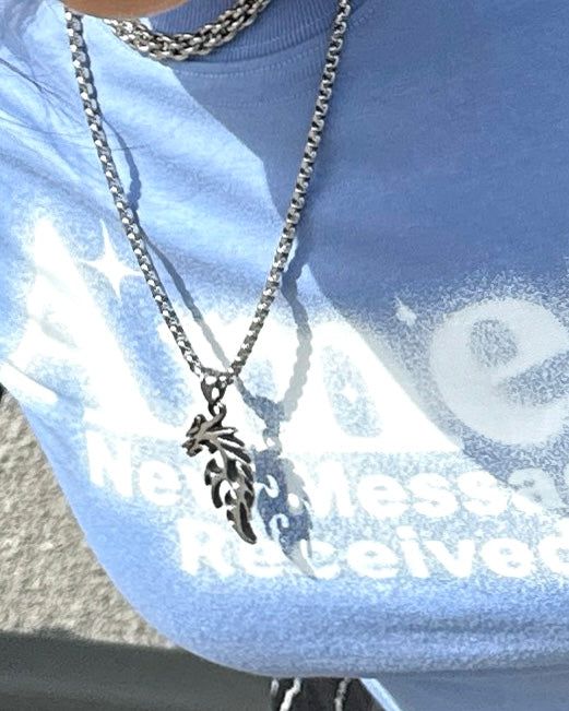 Dragon Box Chain Necklace (size: 2type)