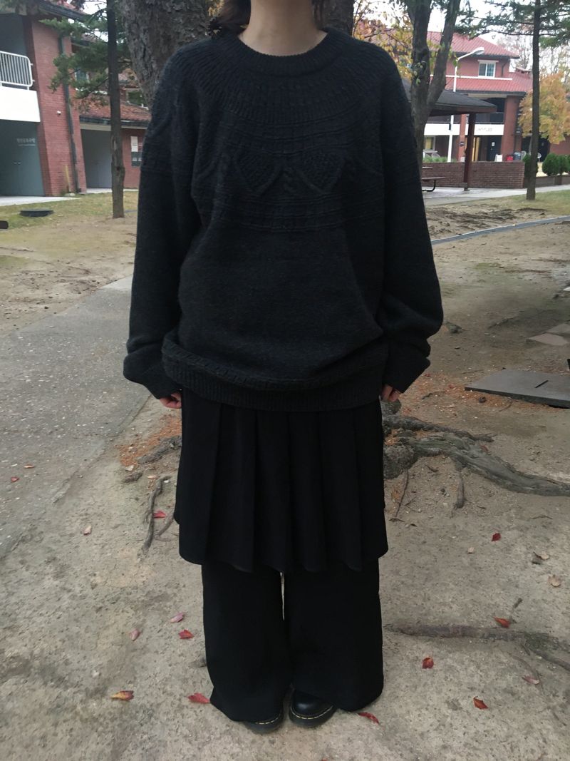 pleats skirt pants