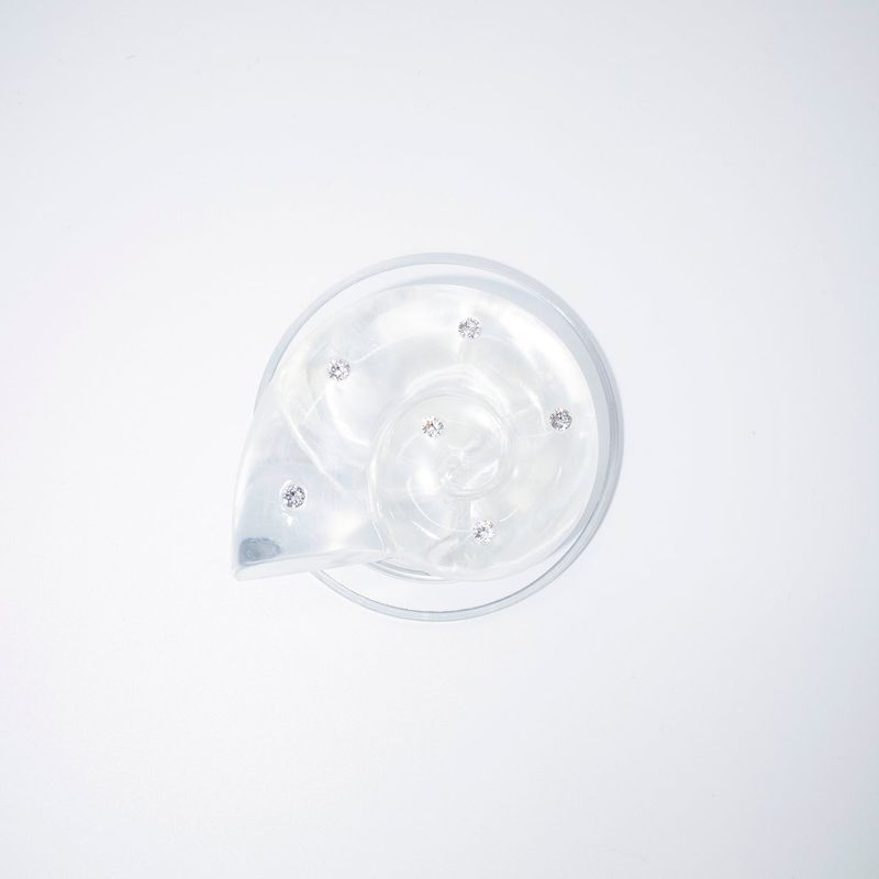 Ammonite Tok MagSafe_ Clear