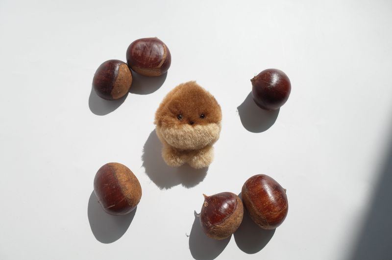 baby chestnut keyring