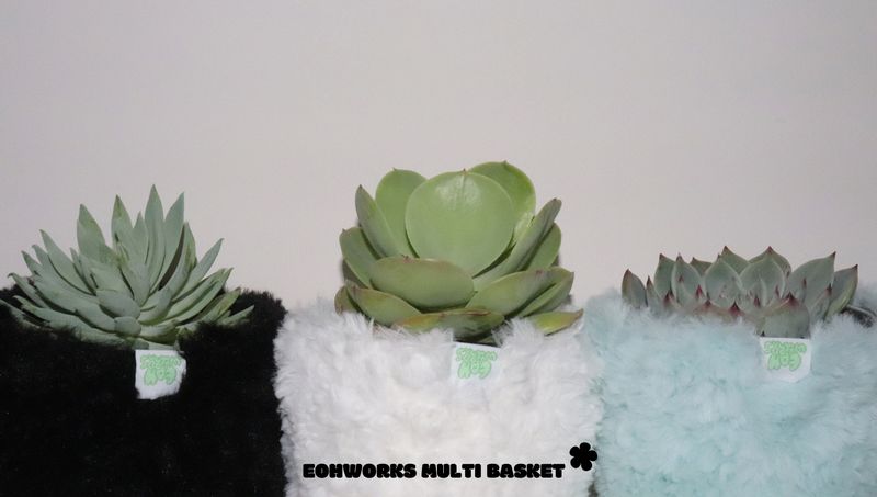 white multi basket