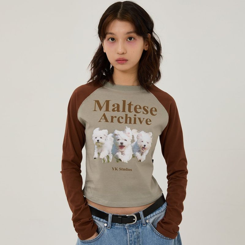 Maltese archive raglan long sleeve tshirts
