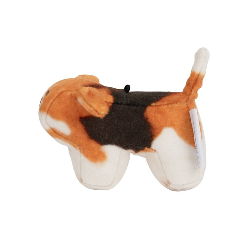 Tori, Beagle