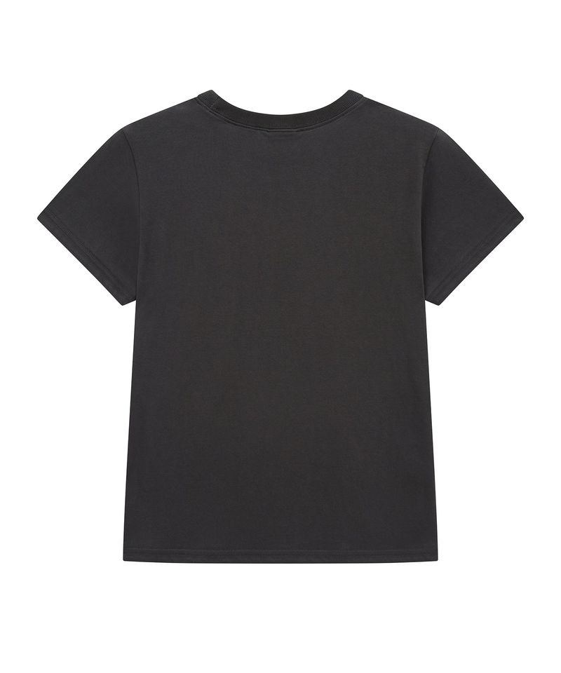 car t (dark grey)