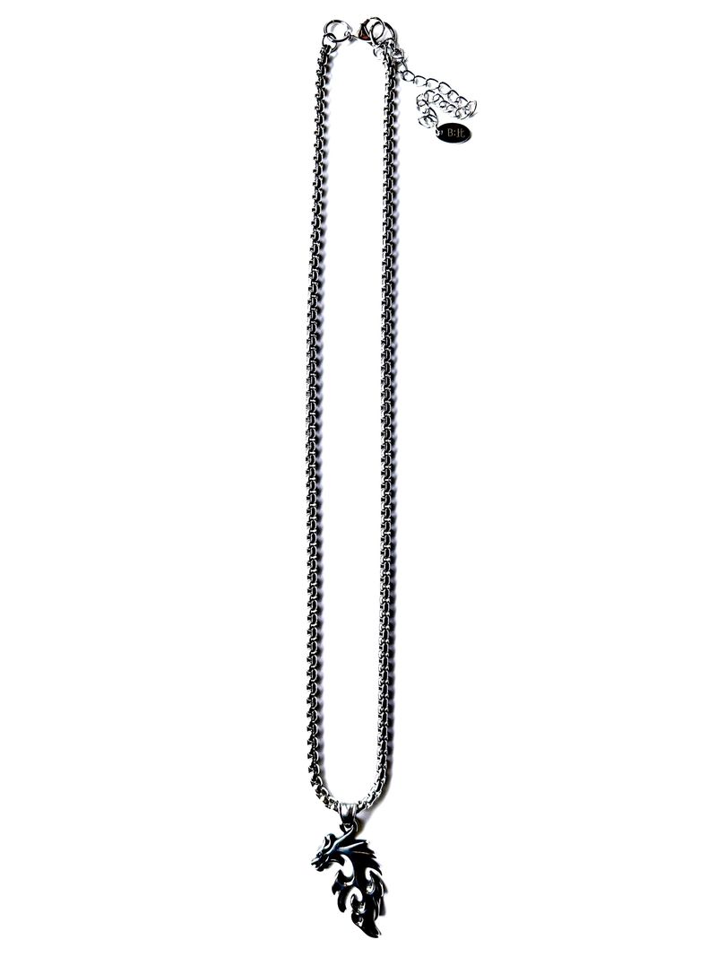 Dragon Box Chain Necklace (size: 2type)