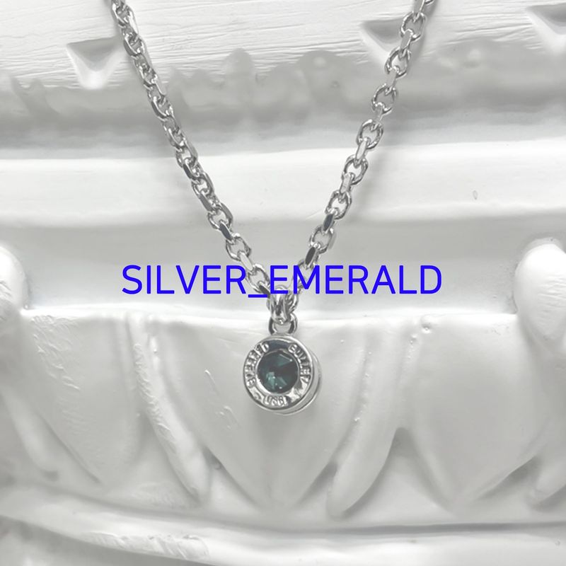 Bullet Back Necklace_silver
