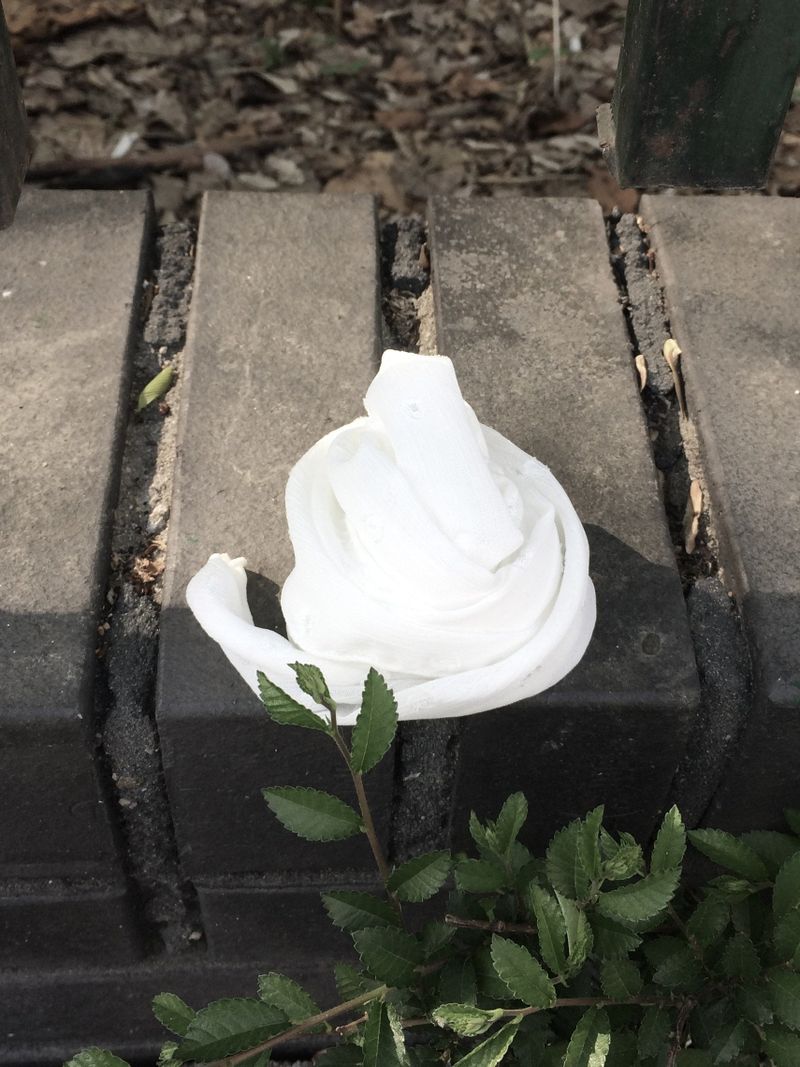 adorntie（アドオンタイ）の「 Tiny Dot Scarf (white)（Fashion Accessories）」