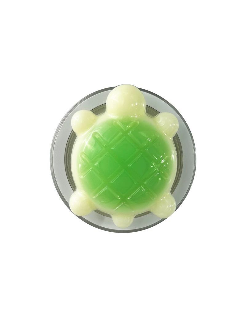 Melon Bread Turtle Magsafe Smart Tok