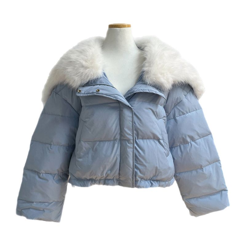 Ice Bloom Fur-Collar Duck Down Short Puffer