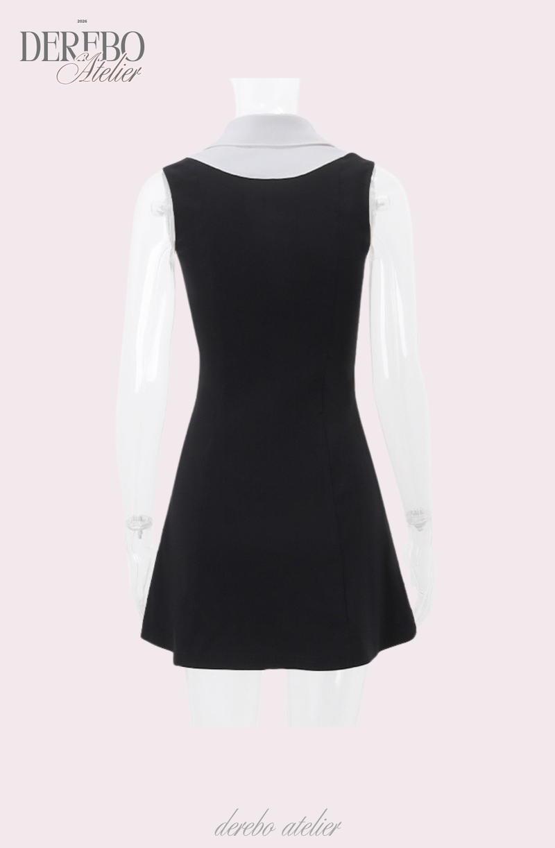 Seri collar sleeveless flare dress