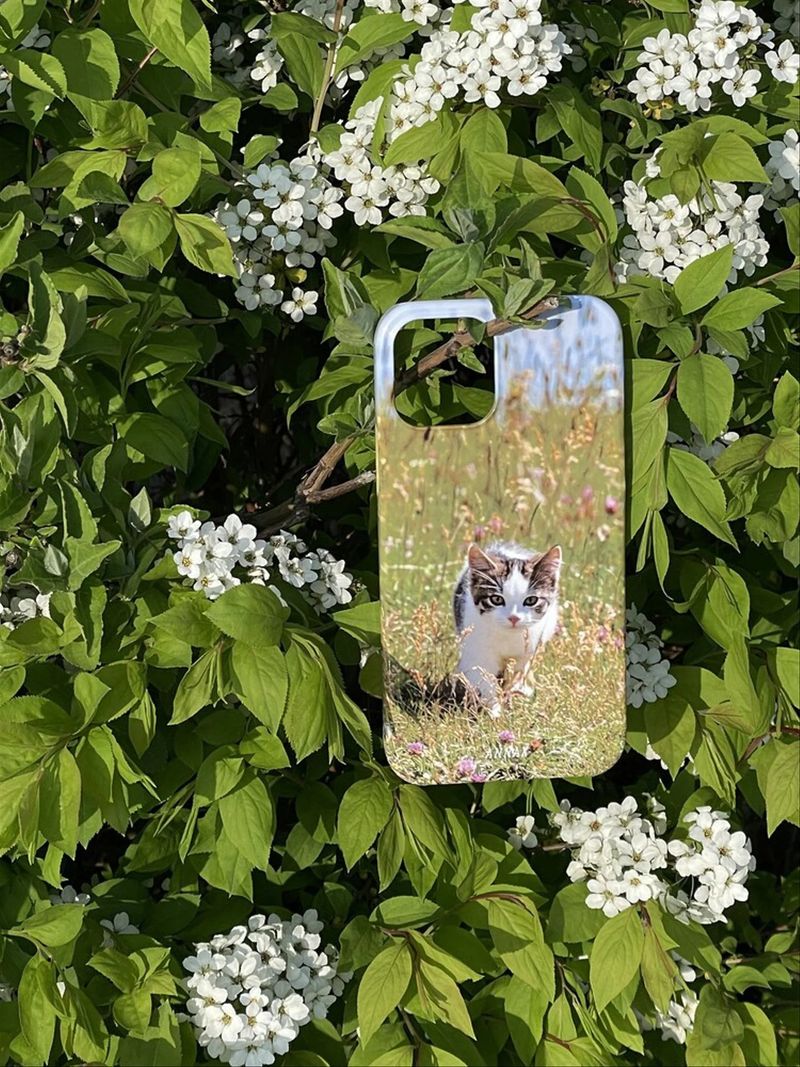 [spring kitten hard case]