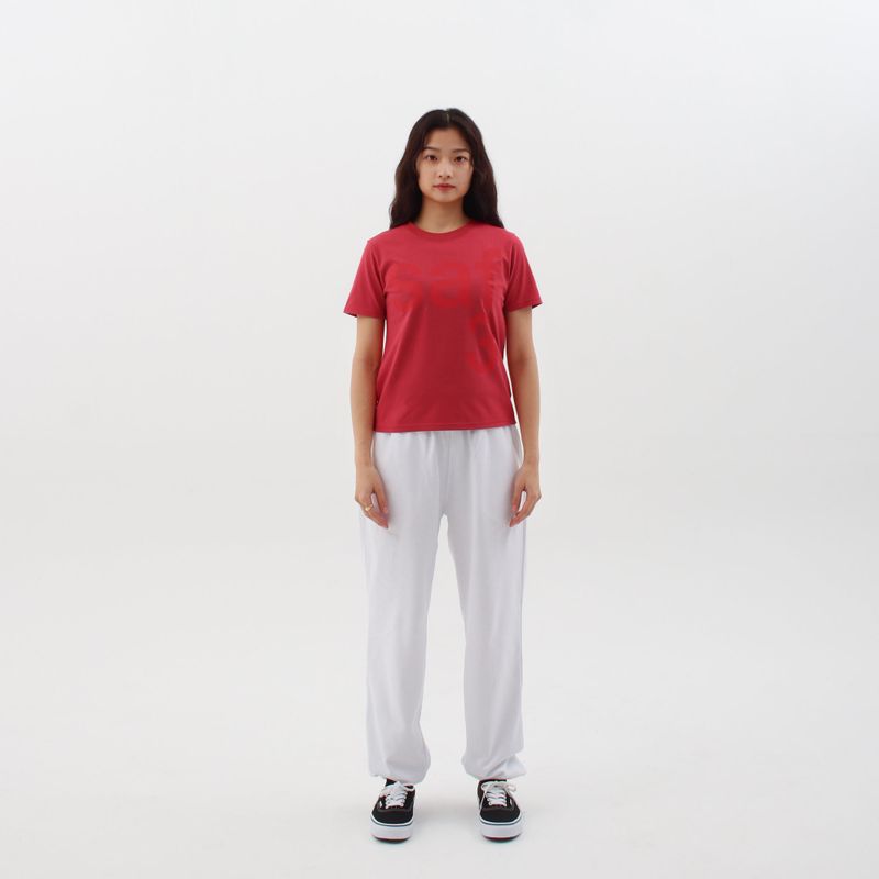 1/2 BASIC SAFARI TEE (LIGHT RED)