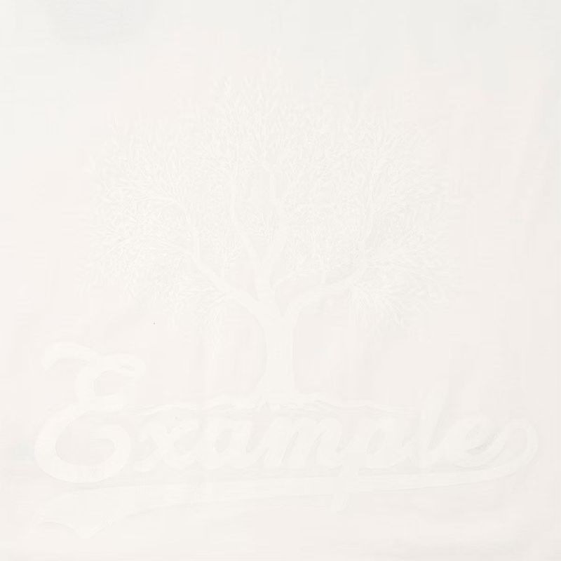 EXAMPLE FORBIDEN FRUIT [E]APPLE S/S TEE