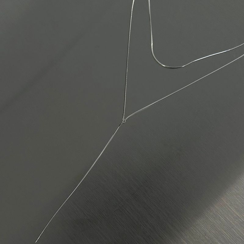 [925silver] Snake layered drop necklace