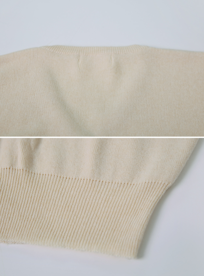 Simple Basic V-neck Knit (10color)