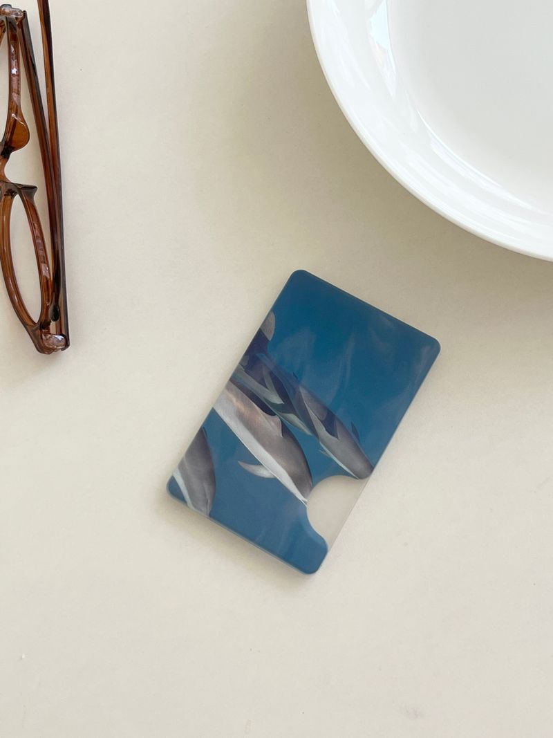 [swimmers in the sea magsafe cardslot]