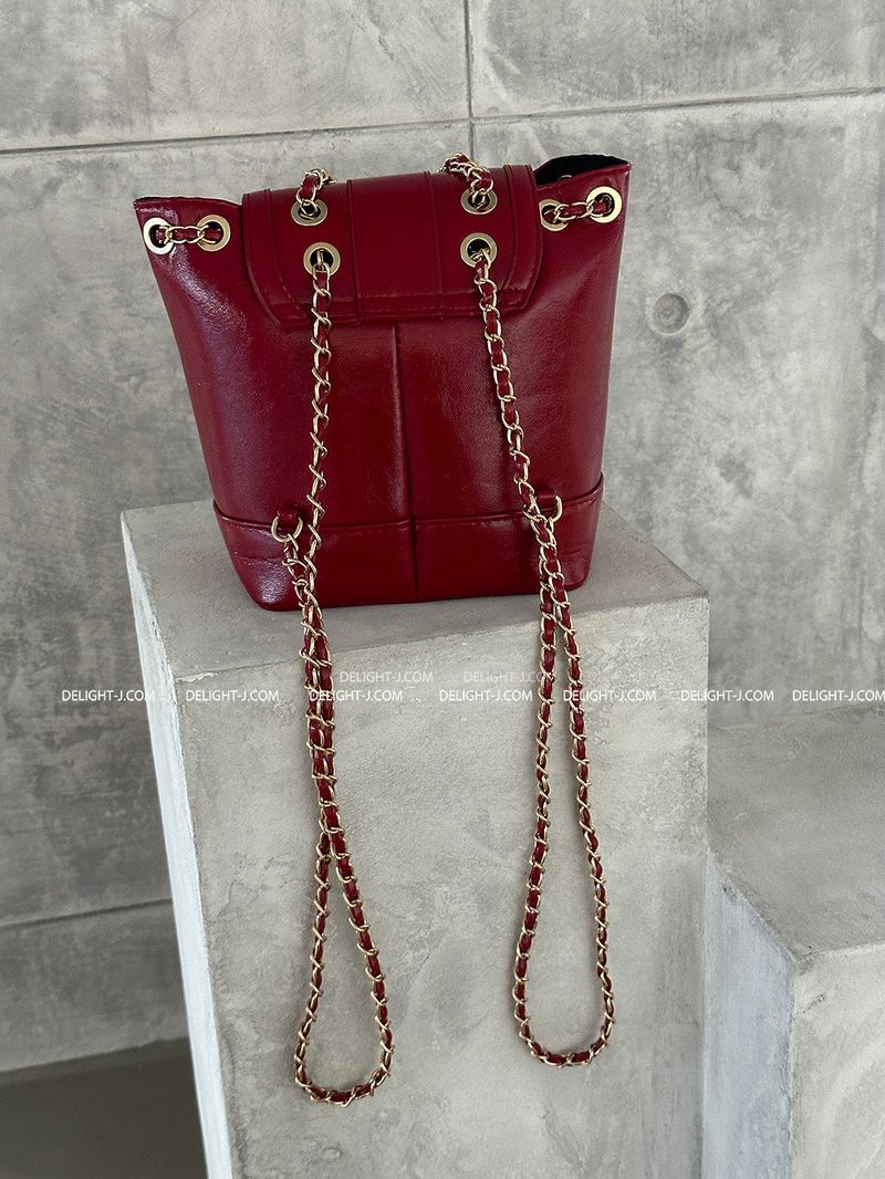 Chain Mini tote & Backpack