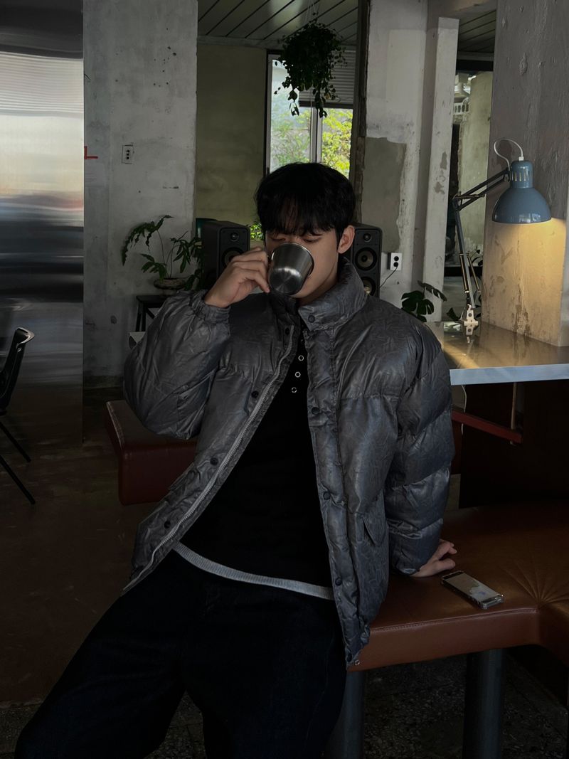 Cracked Nuptse Metallic Short Puffer Jacket