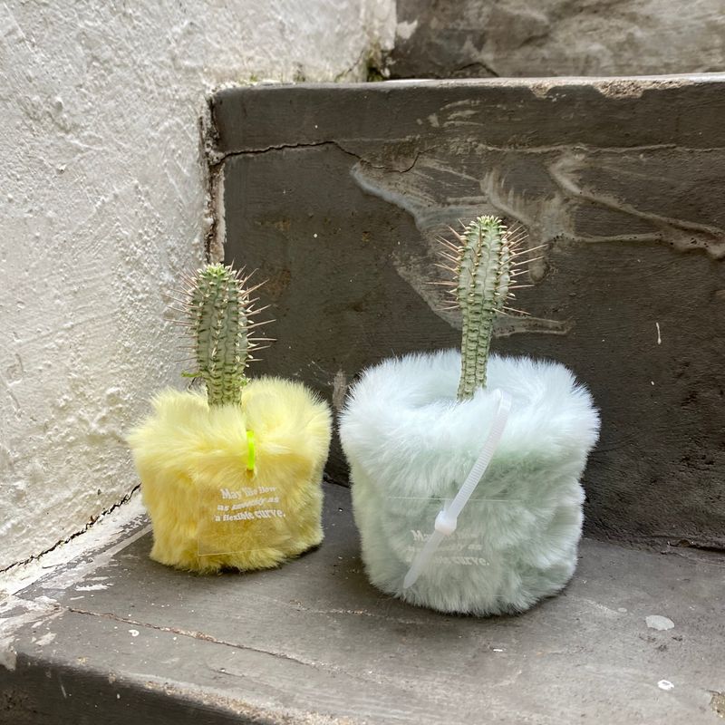 FLUFFY POT (S