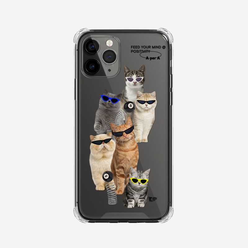 sunglasses cat club