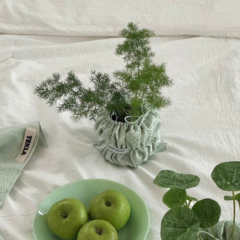 welcometoccc(ウェルカムシーシーシー)の「PouPouPot (Dotty Mint) POPO (S size)(Interior)」