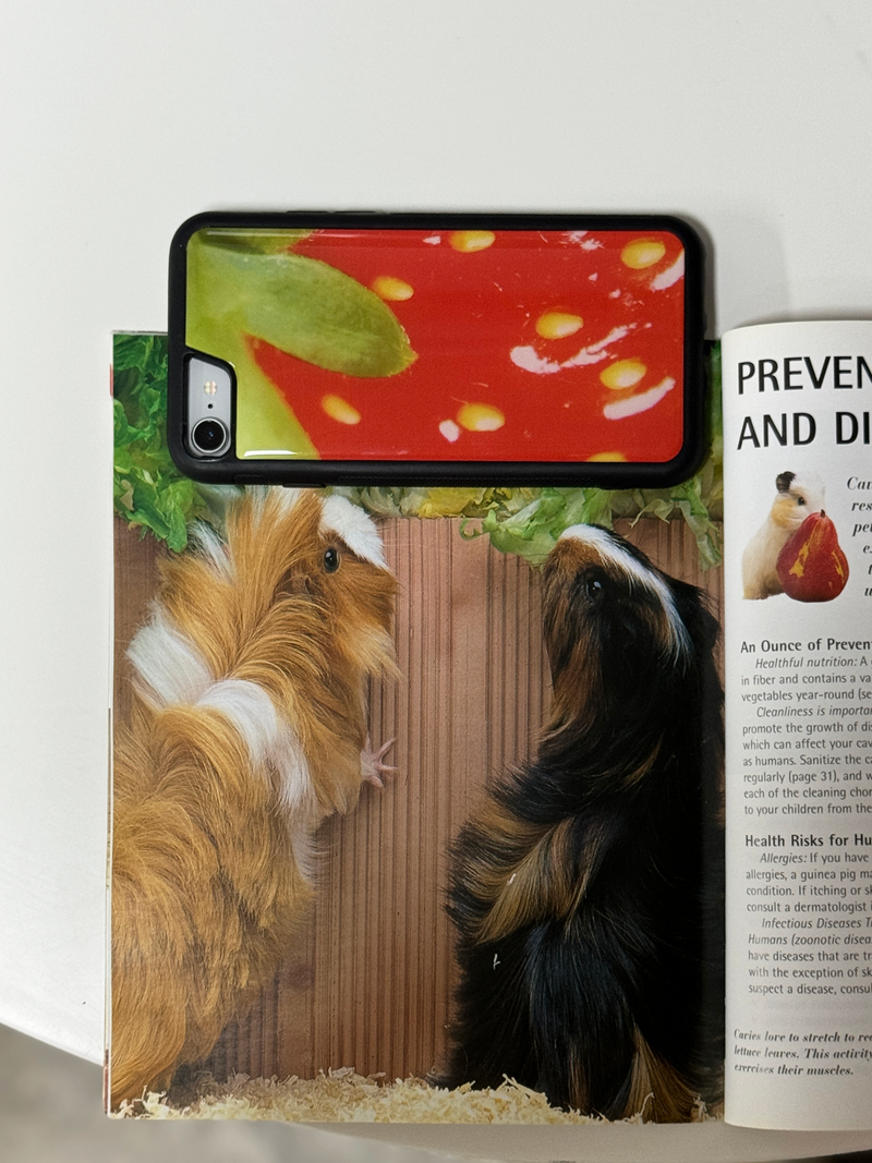 Strawberry epoxy case - Red