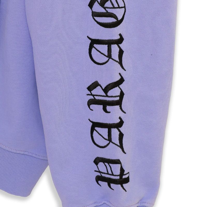 CLASSIC ARCHIVE HOODIE