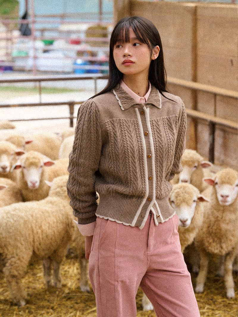 Wavy Collar Cable Merino Cardigan (Brown)