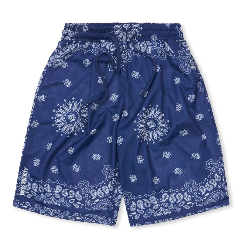 Mesh Wide Bermuda Pants Paisley