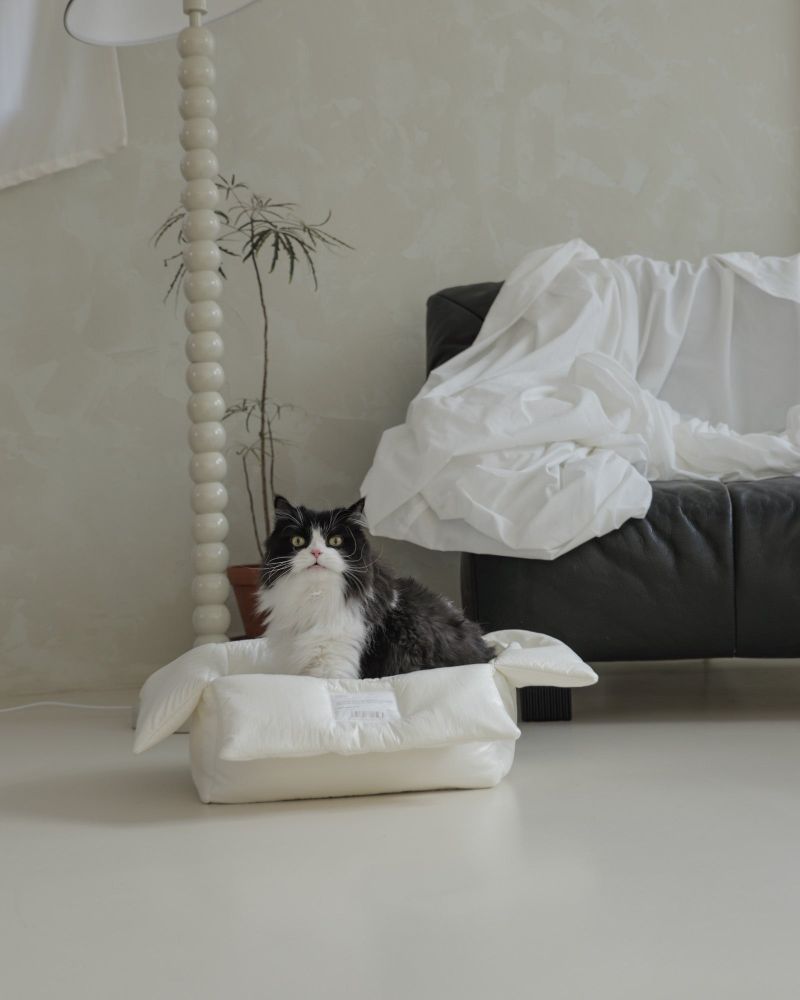 CAT CUSHION BOX_ivory