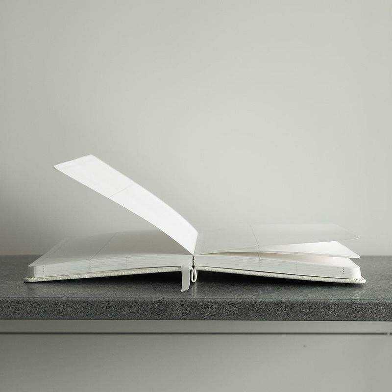 2025 6month daily diary
