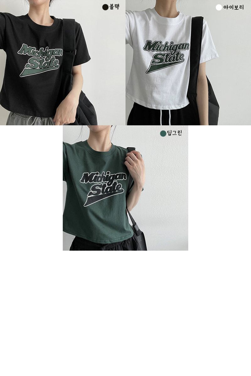 Michigan Short Sleeve Tea
