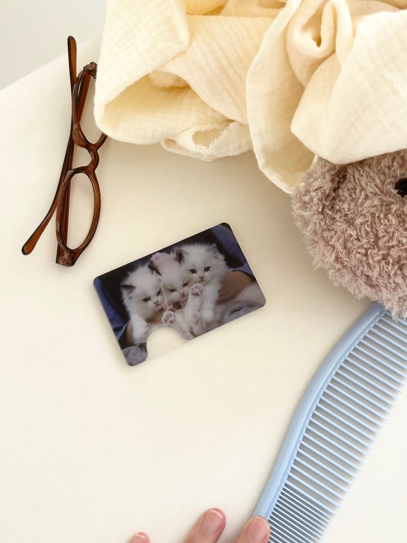 [three kitty sisters magsafe cardslot]