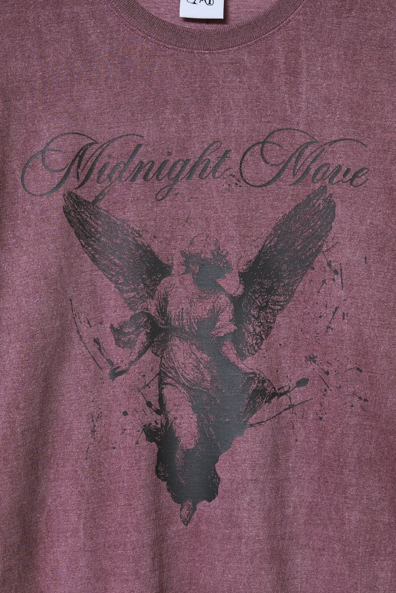 pg angel t (wine)