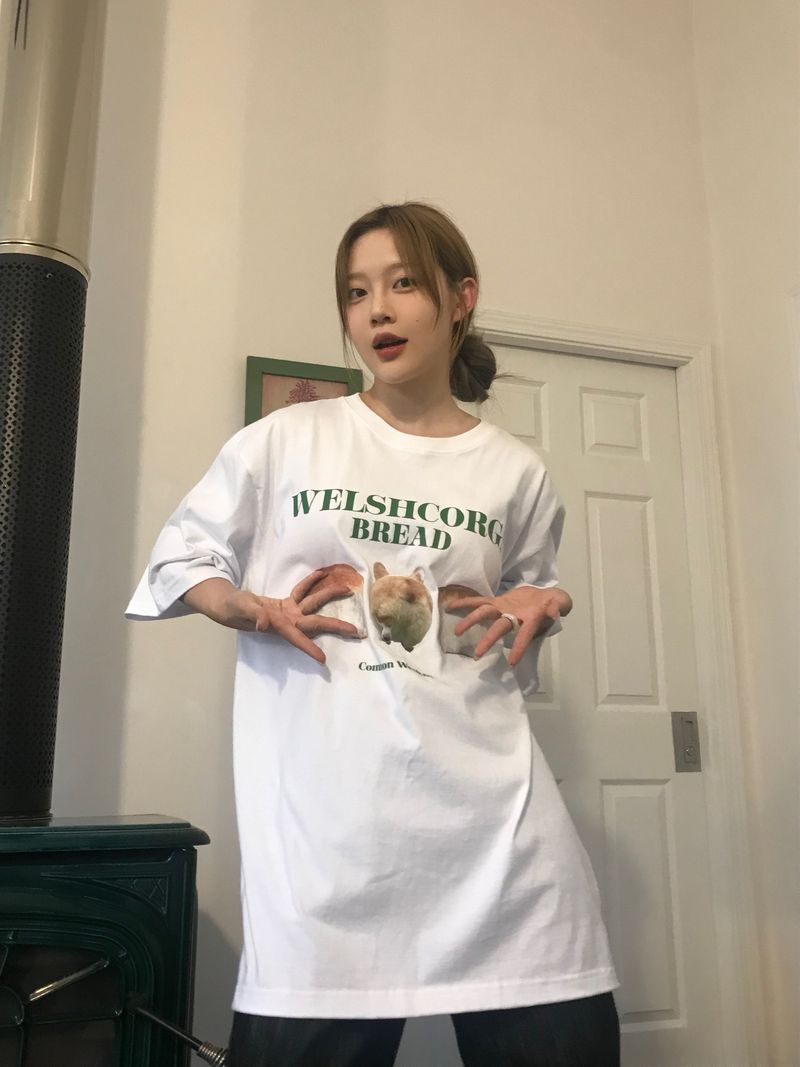 Comfortable corgi T-Shirt