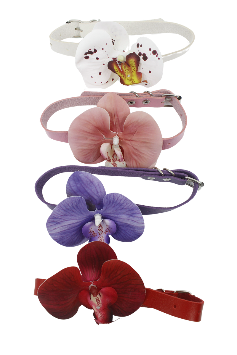 [春] - Phalaenopsis choker (4color)