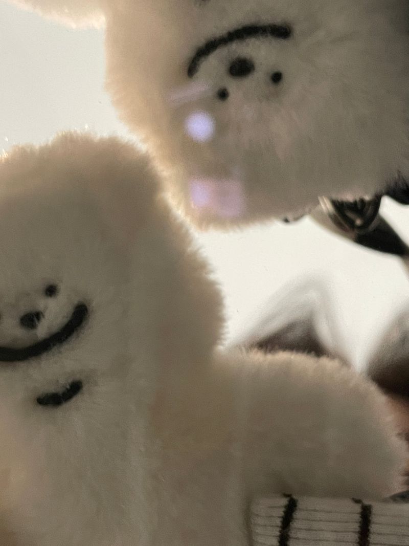 tuteogi doll keyring