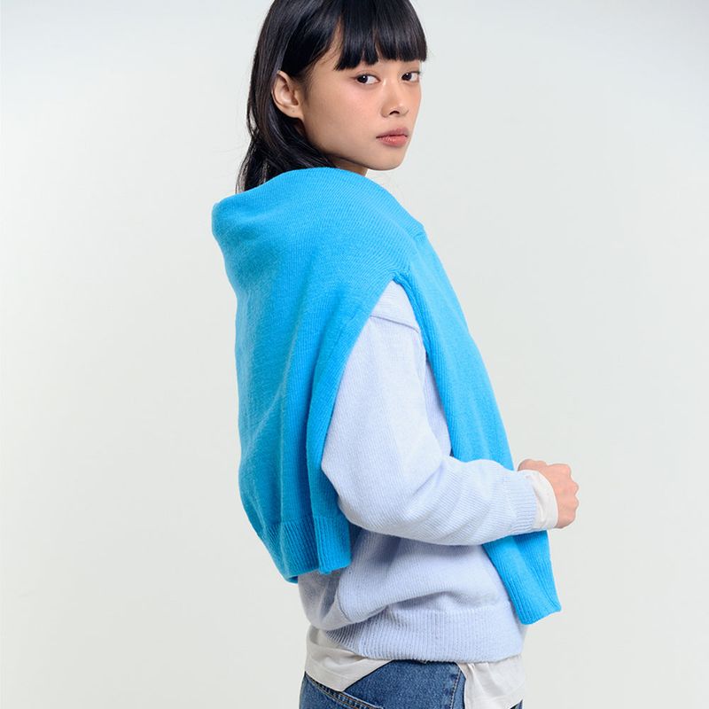 Spring V-Neck Knit