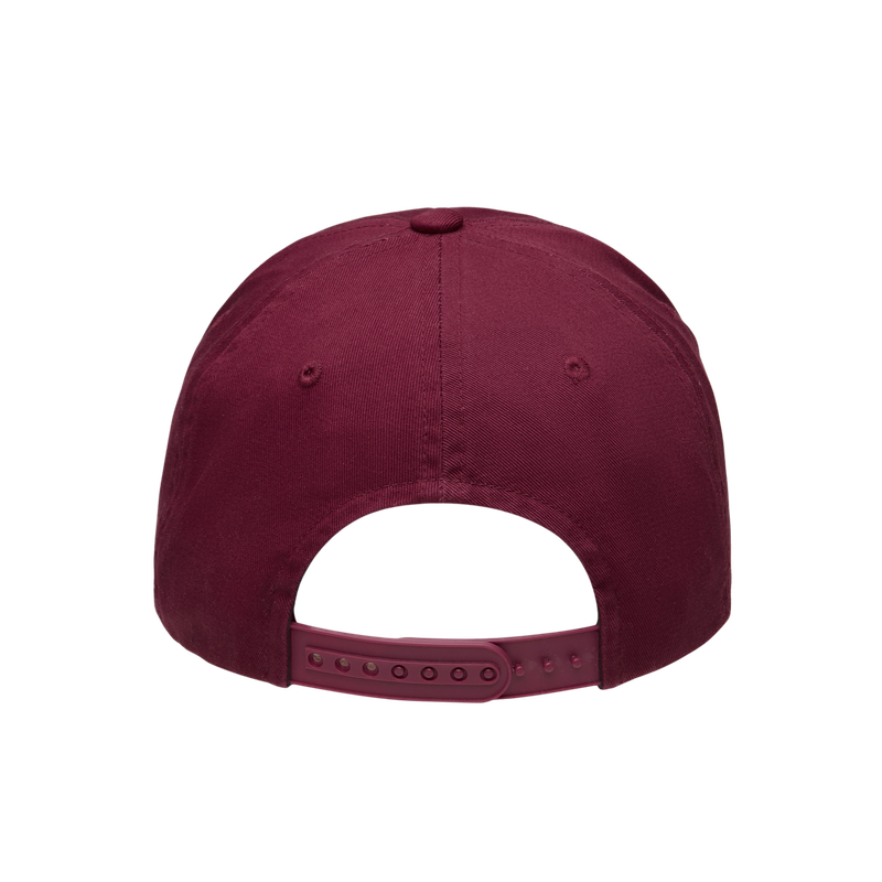Weekend warrior needlework 5 panels ballcap (Burgundy)