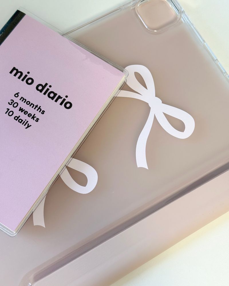 double ribbon Ipad case