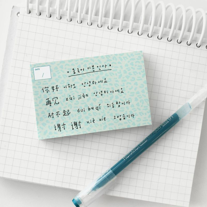 oab leopard memo set / 3 pieces